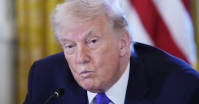 Hellhole On The Planet: Trump Targets India Over Birthright Citizenship