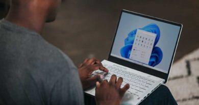 Microsoft Office Professional 2021 for Windows: Lifetime License