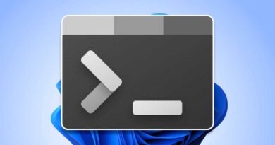 Windows Terminal icon on Windows 11 background