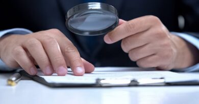 UK data watchdog accused of dragging feet on eVisa investigation