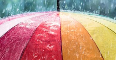Umbrella companies not working for IT contractors, survey finds