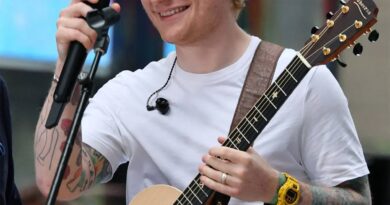 Ed Sheeran sings for King