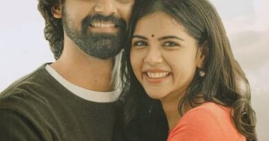 Are Pranav Mohanlal and Kalyani Priyadarshan getting married