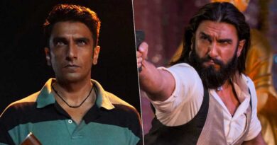 Dhurandhar 2 Hindi Version Crosses 800 Cr Nett