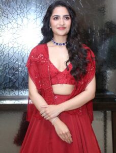 Rukmini Vasanth Rises to Pan India Fame After Kantara 2