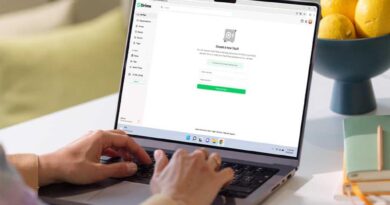 Drime Secure Cloud Storage: Lifetime Subscription (Advanced Plan/6TB)