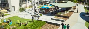 Google AI engineer dismissed for opposing tech sales to Israel