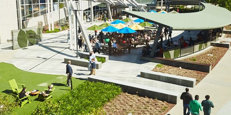 Google AI engineer dismissed for opposing tech sales to Israel