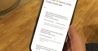 Gemini Daily Brief