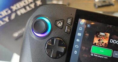 Asus ROG Xbox Ally stick