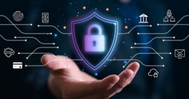 National cyber shield could be ready in five years