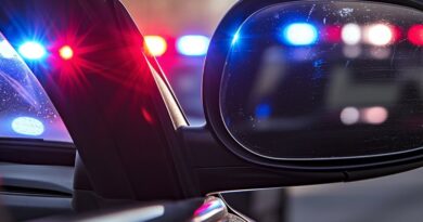 Police op targets VPN service favoured by ransomware gangs