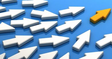 The digital leader’s playbook: A guide for IT chiefs by Paul Coby