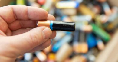 Alkaline Batterien