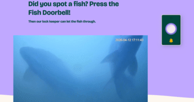 Fish Doorbell