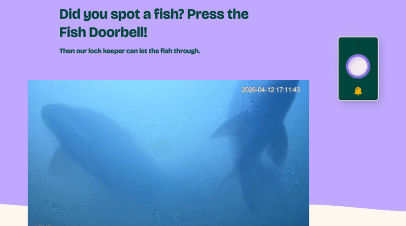 Fish Doorbell
