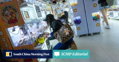 Tighter regulation of Hong Kong’s claw machines is much needed