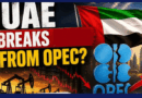 UAE Break From Opec Reshapes Gulf Oil Politics