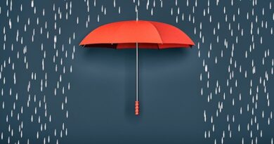 Why human capital data is pulling AI back inside the firewall