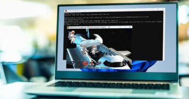 Laptop mit einem alten Spiel auf dem Desktop