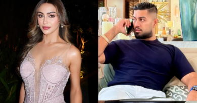 It's confirmed! Krystle D’Souza is dating Dubai-based entrepreneur AP