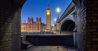 MPs call for UK government to back sovereign IT