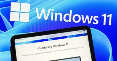 Windows 11 Logo Schriftzug