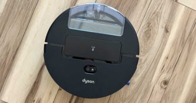 Dyson Spot+Scrub Ai