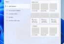 Windows search EU
