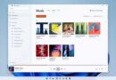 Windows Media Player