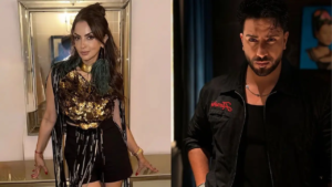 Aly Goni, Seema Sajdeh's wildcard entry promises major twist in Alliance
