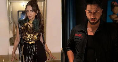 Aly Goni, Seema Sajdeh's wildcard entry promises major twist in Alliance