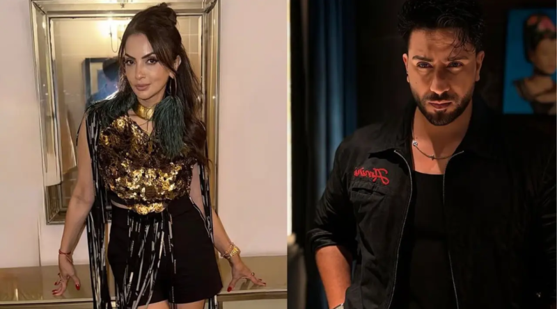 Aly Goni, Seema Sajdeh's wildcard entry promises major twist in Alliance