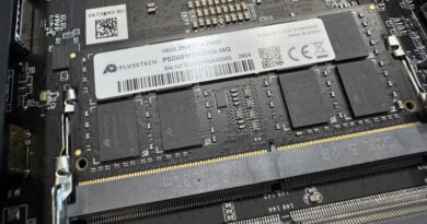Test Peladn WO4 5600H ram