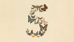 Claude Fable 5