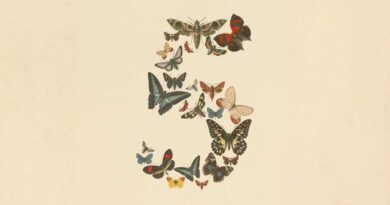 Claude Fable 5