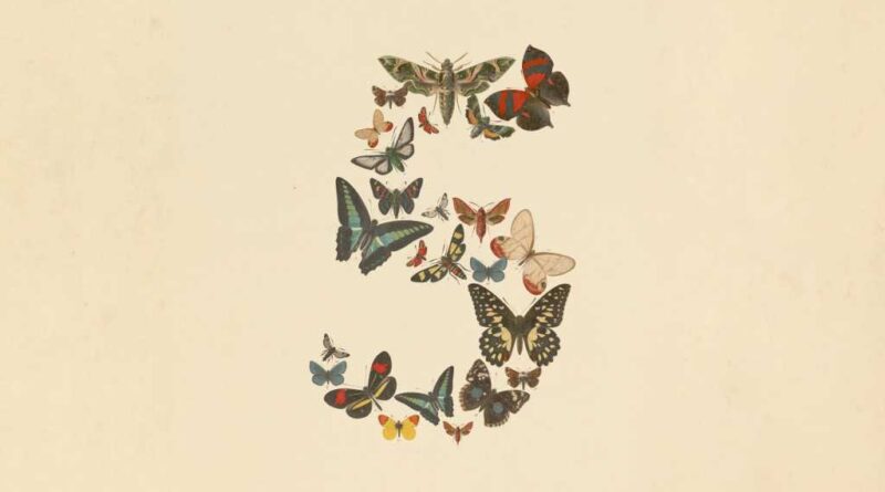 Claude Fable 5
