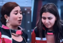 Did Akanksha Choudhary reveal Shreya Kalra's secret?