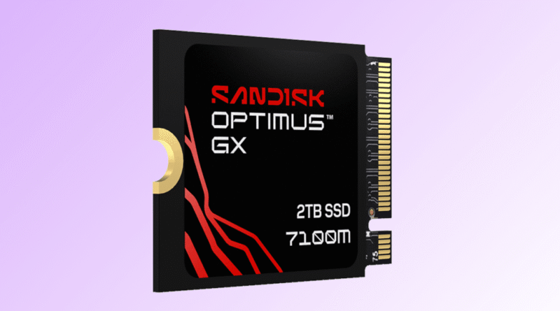 SanDisk Optimux GX 7100M