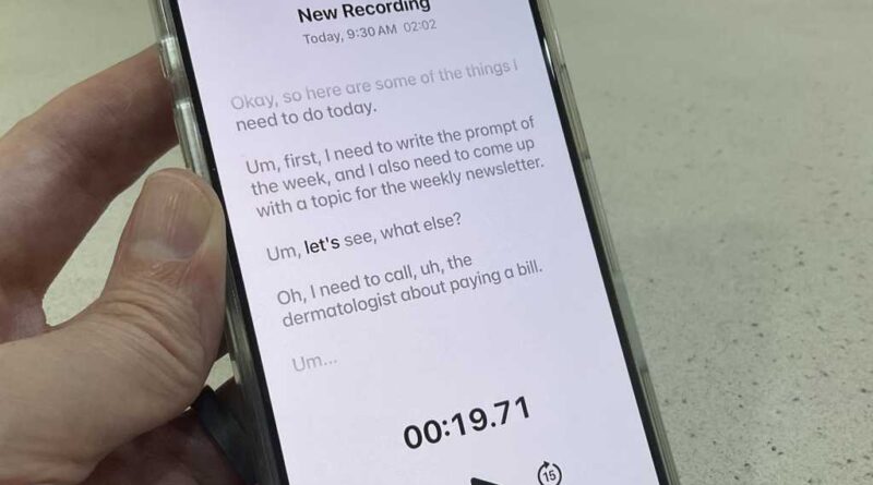 Apple Notes voice memo