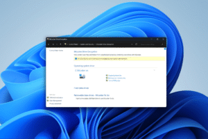 BitLocker window on default Windows 11 background