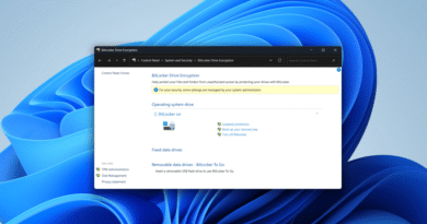 BitLocker window on default Windows 11 background