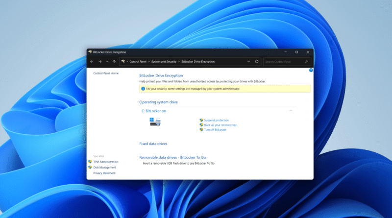 BitLocker window on default Windows 11 background