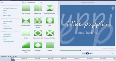 Windows Movie Maker