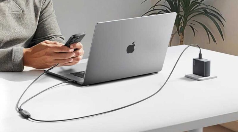 Anker 2-in-1 USB-C splitter cable