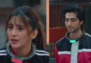 Harshad Chopda's finale sacrifice for Shivangi Joshi sparks emotional showdown