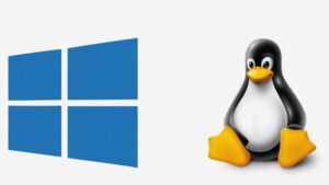 Windows und Linux Logos