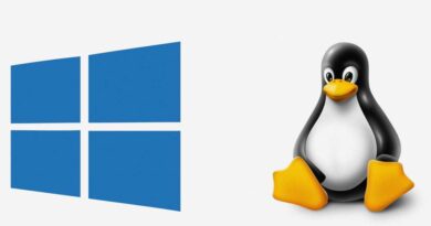 Windows und Linux Logos