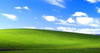 Windows XP Bliss