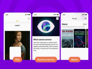 Nibble All-Around Knowledge App (Lifetime Subscription)